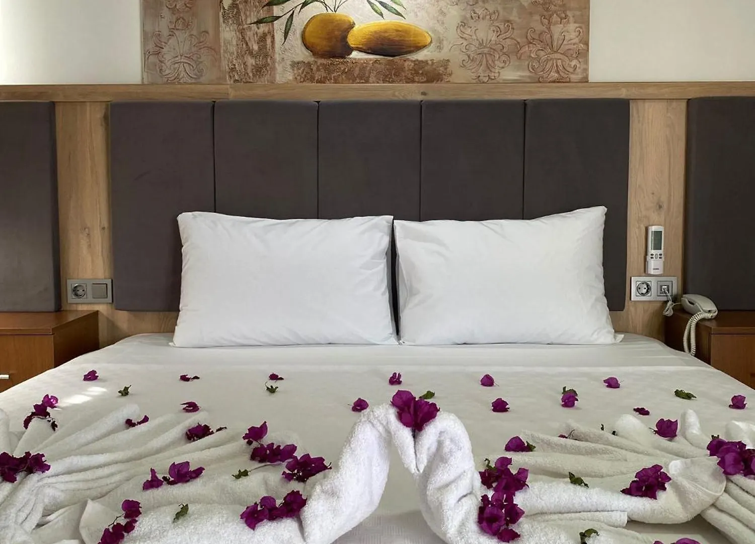 Aristo 2 Butik Hotel 디딤 터키